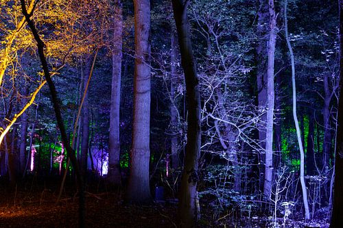 Een stukje magie, verborgen aan de rand van Kralingse Bos