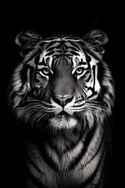 Tiger von Poster Art Shop