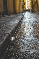 Mystery on Florence's street