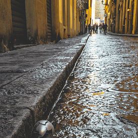 Mystery on Florence's street by Anahi Clemens