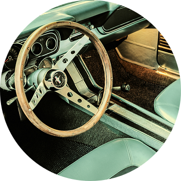 De vintage Ford Mustang van Martin Bergsma