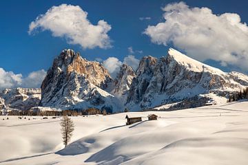 Alpe di Siusi in de Dolomieten van Dieter Meyrl