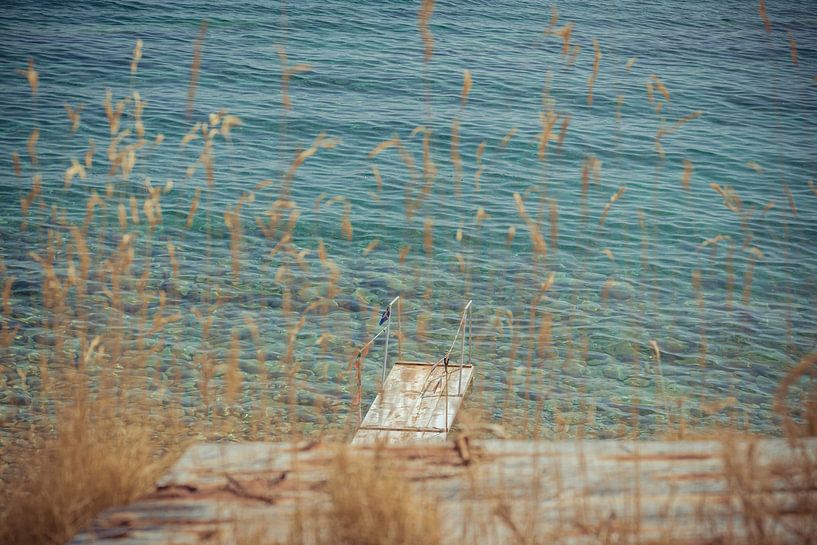 Ins Meer springen... von Patrick Löbler