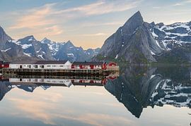 Midnight sun on the Lofoten Islands in Norway by Tim Vlielander