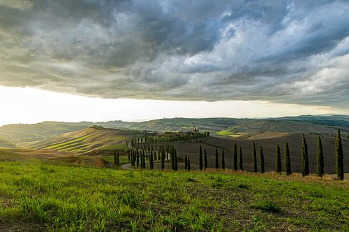 Cipressen langs de weg Toscane , Italië