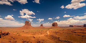 Monument Valley Panorama #2 van Edwin Mooijaart