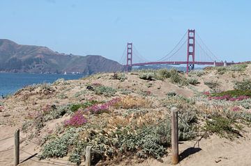 Golden G Gate Bridge van Paulien Hemelaar