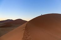 Sonnenaufgang in der Wüste Namibias von GoWildGoNaturepictures Miniaturansicht