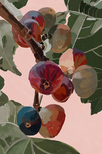 Figues de septembre sur Treechild