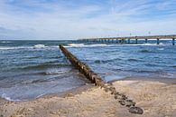 Buhne and pier on the coast of the Baltic Sea near Graal Müritz by Rico Ködder thumbnail