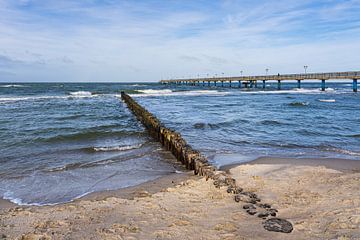 Buhne and pier on the coast of the Baltic Sea near Graal Müritz
