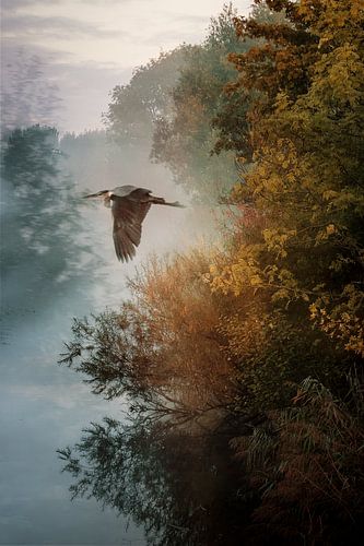 Reiger in mistig landschap