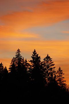 Sonnenuntergang über dem Wald, Schweden von Imladris Images