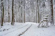 Un siège élevé dans la forêt d'hiver par Uwe Ulrich Grün Aperçu