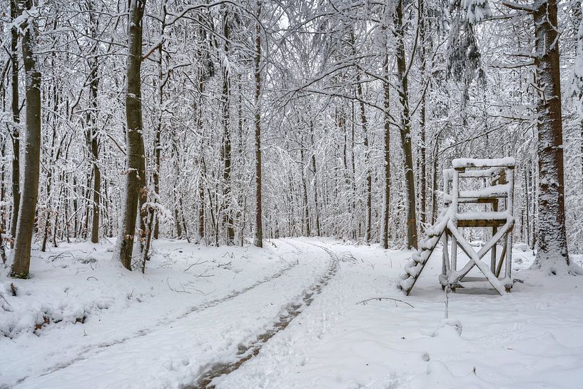 Un siège élevé dans la forêt d'hiver par Uwe Ulrich Grün
