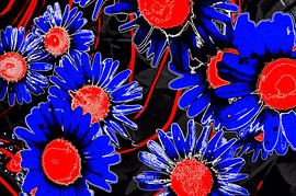 Blumen in Rot & Blau von De Rover