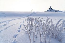 Weisse Schlangen im Schnee