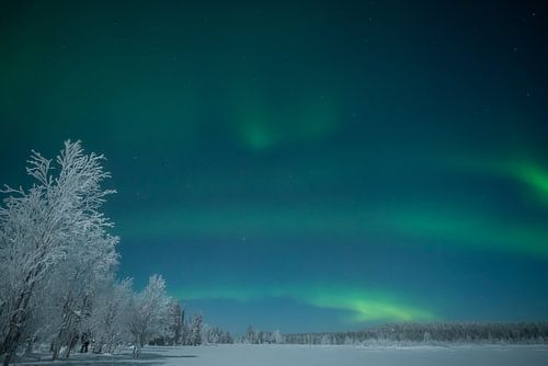 Aurores boréales en Laponie 004 sur Evelien Huisman