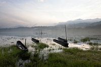 Bali: Lake Tamblingan in the early morninglight