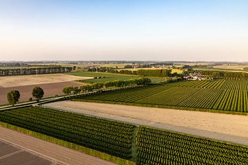 Nederlands landschap van Laura Vijverberg
