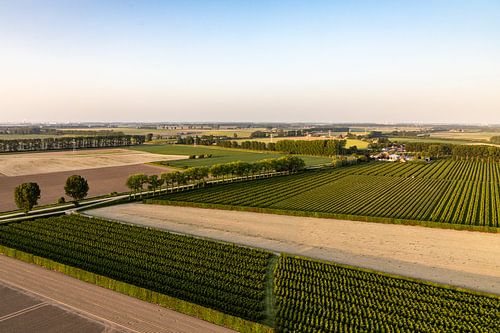 Niederländische Landschaft von Laura Vijverberg