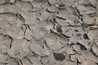 Drying cracks in the sludge
