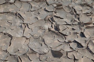 Drying cracks in the sludge by Frank Heinz