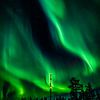 Spectaculair Noorderlicht achter de boomtoppen van Martijn Smeets