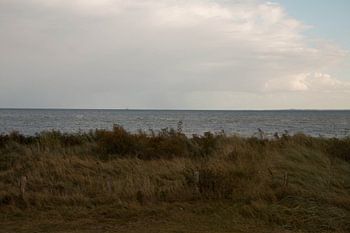 Küstenblick mit Grasbewuchs