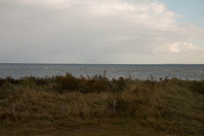 Vue sur la côte avec végétation herbacée par Bengt Schrum
