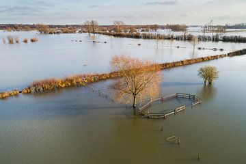 Omheind water tijdens hoogwater