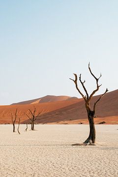 Deadvlei || Namibië, Sossusvlei van Suzanne Spijkers