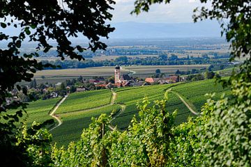 Pfaffenweiler wijndorp in de regio Markgräflerland van Ingo Laue