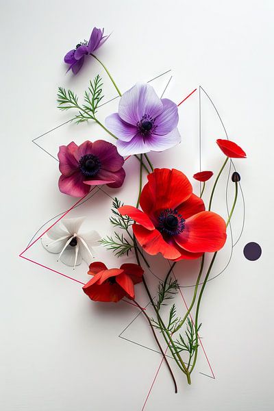Kronen-Anemone von Poster Art Shop