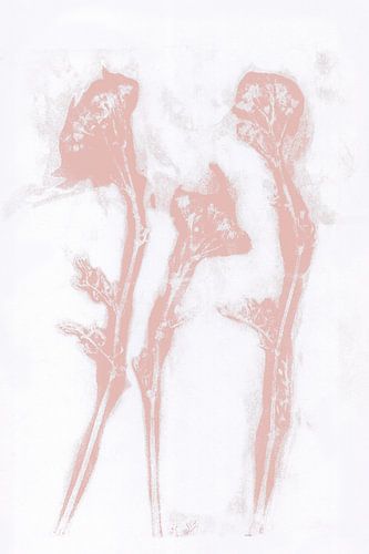 Roze bloemen in retrostijl. Moderne botanische kunst in pastel roze en wit.