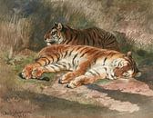 Zwei liegende Tiger, Rosa Bonheur von Meisterhafte Meister Miniaturansicht