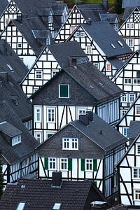 FREUDENBERG 02