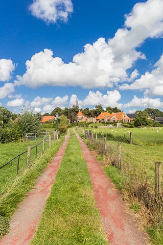 Een pad loopt naar het dorp Niehove in Groningen