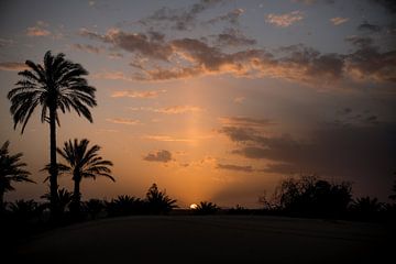 Golden desert sunset Morroco van Joyce Beukenex