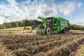 Lifting potatoes by Edwin Sonneveld
