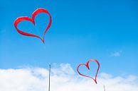 Liefde hangt in de lucht van Elles Rijsdijk thumbnail