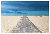 Endless beachroad van Willy Sybesma thumbnail