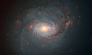 M77 Une galaxie spirale sur André van der Hoeven