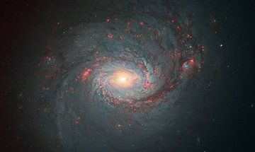 M77 Een spiraalstelsel van André van der Hoeven