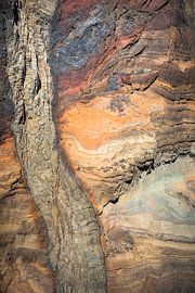 Farbige Zeitschichten in Madeiras Riffen