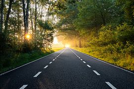 Brabants Ochtendgloren | Het Verdwijnpunt in het Licht van Dylan Winter Visuals