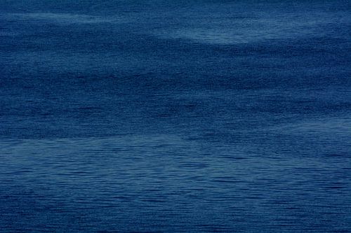 BLAUW 1
