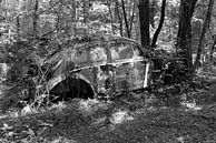 VW Beetle - Old Car City, Georgia USA by Willem van Holten thumbnail