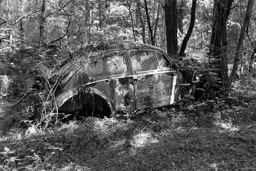 VW Beetle - Old Car City, Georgia USA by Willem van Holten
