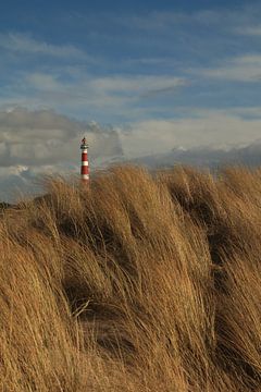 Vuurtoren Ameland van Rinnie Wijnstra (FotoAmeland )